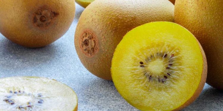 Trong quả kiwi có chứa rất nhiều chất có tác dụng oxy hóa