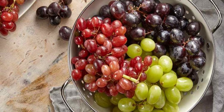 Nho là loại trái cây thông dụng tại nước ta