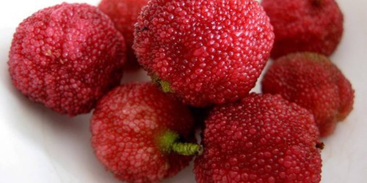 Cách ăn quả thanh mai thật hấp dẫn