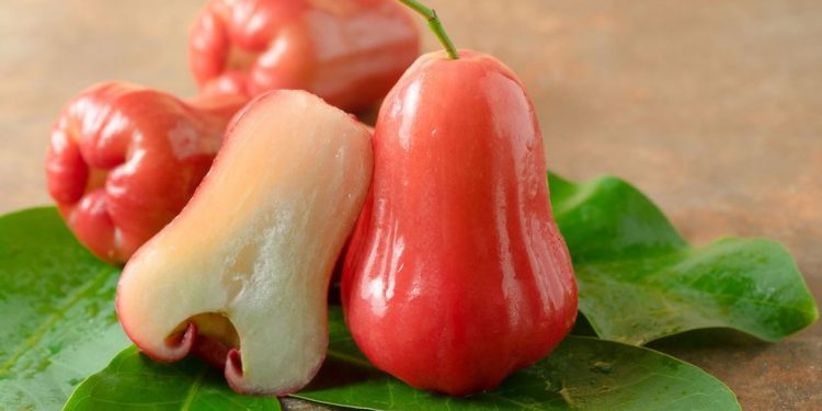 Lợi ích của quả mận đối với sức đề kháng của cơ thể