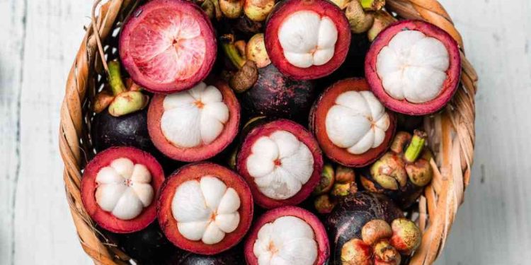 Dinh dưỡng của quả măng cụt và những lợi ích tuyệt vời
