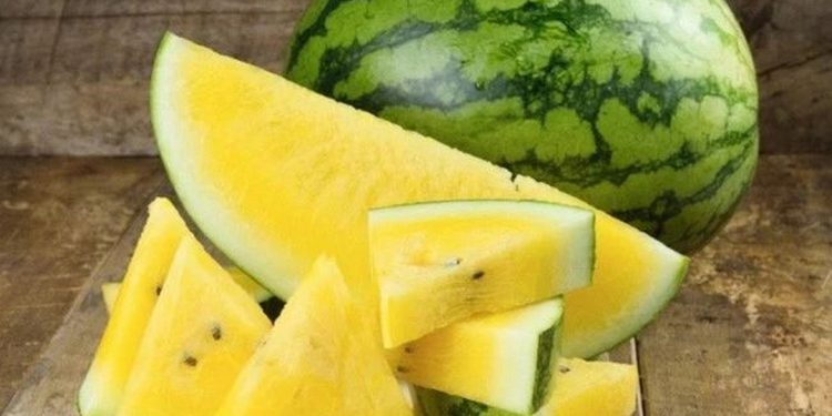 Các loại dưa hấu phổ biến nhất hiện nay